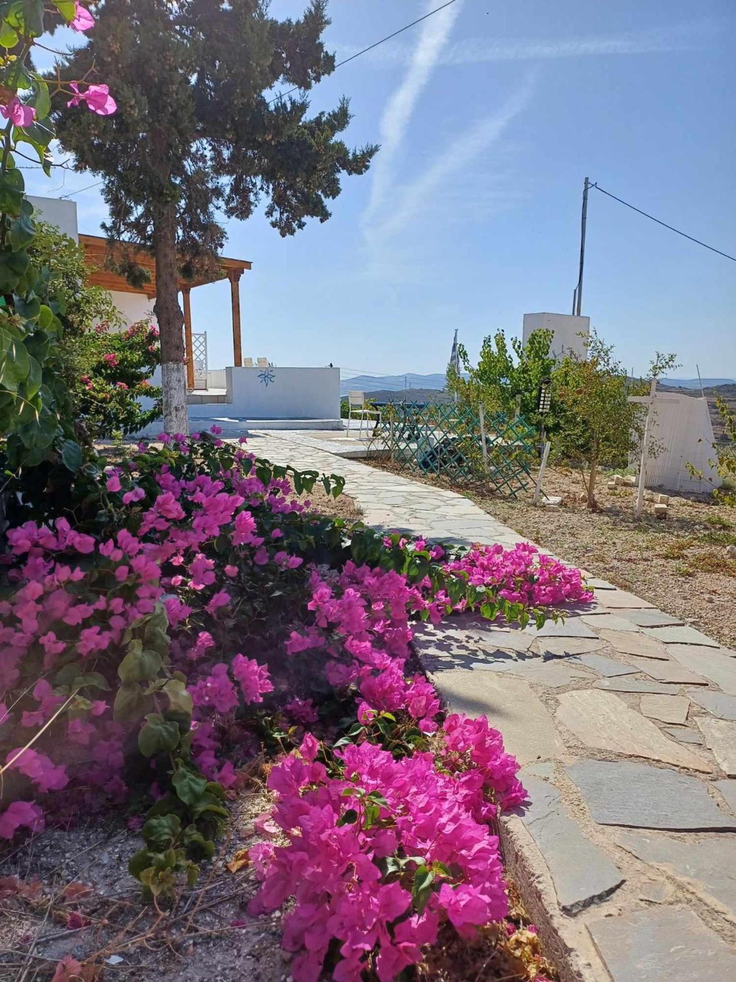 Georgia Milos Plaka (Milos)