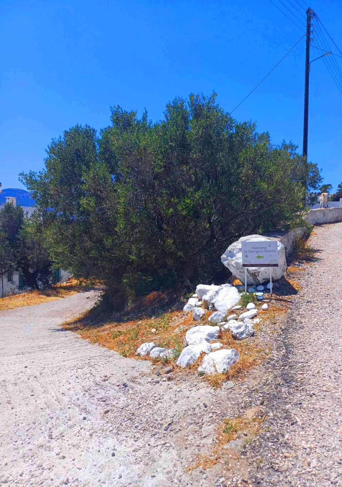 Georgia Milos * Plaka (Milos)